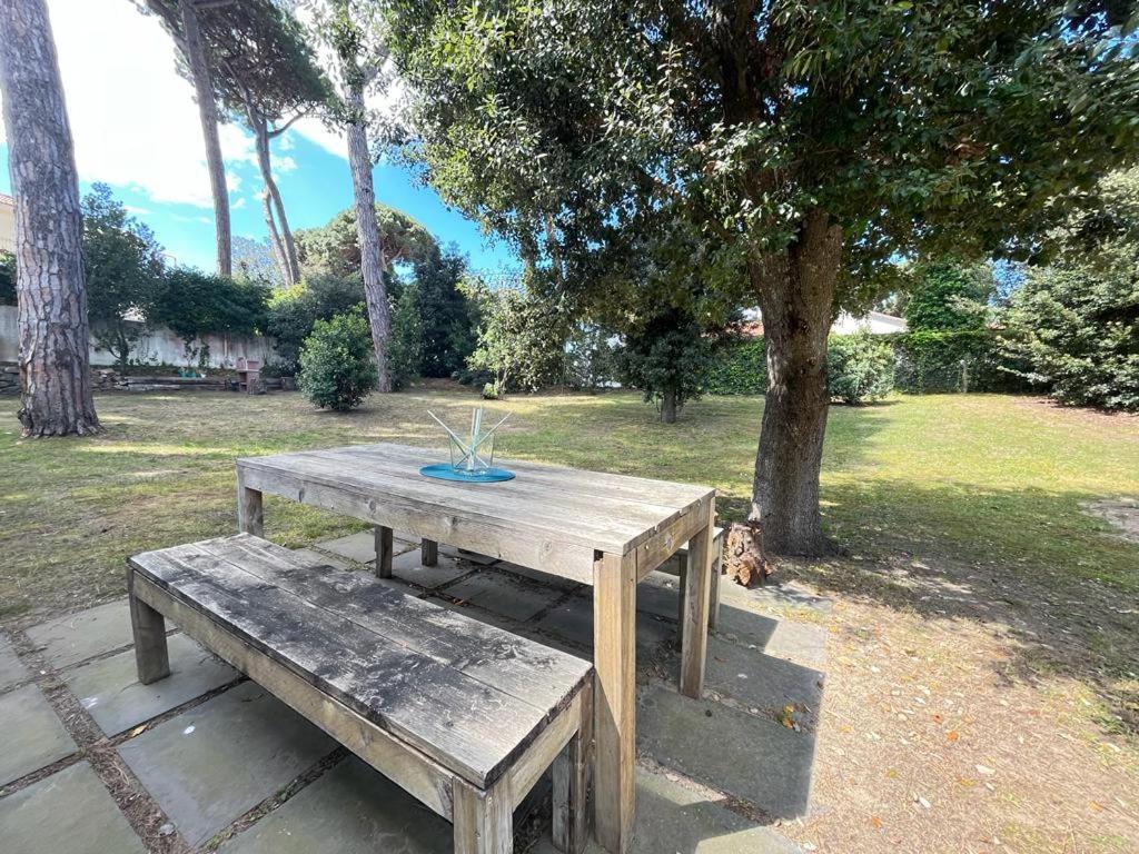 Pineta Apartament Tirrenia Eksteriør billede